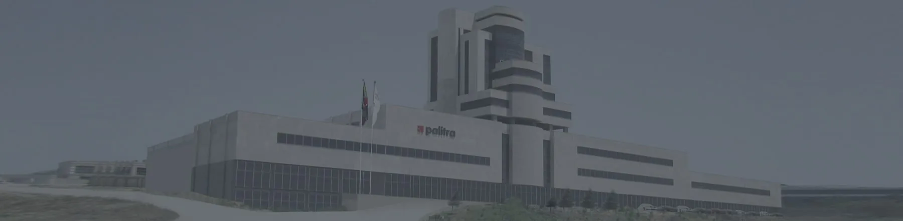 Palitra company
