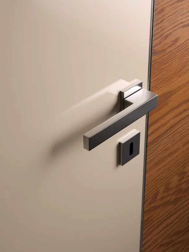 Modern door idea 9